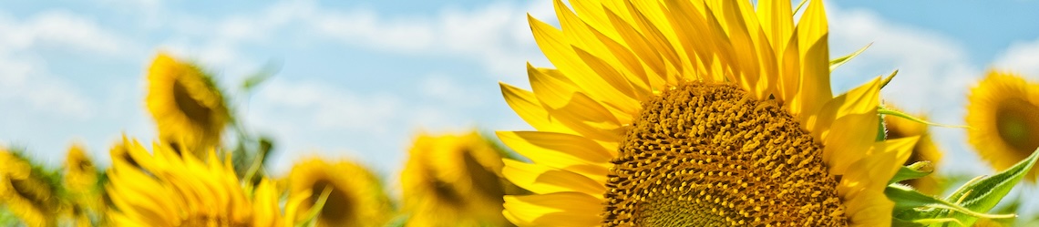 Group cover image