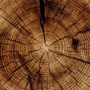 Gruppenlogo von Pioneers CIRCLE