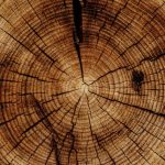 Gruppenlogo von Pioneers CIRCLE